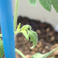 34005_20180925113217_02.JPG