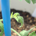 34005_20180925113219_01.JPG