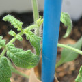 34005_20180925113225_02.JPG