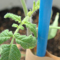 34005_20180925113230_01.JPG