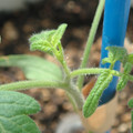 34005_20180925113256_01.JPG
