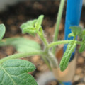 34005_20180925113258_01.JPG