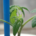 34005_20180925113311_01.JPG