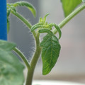 34005_20180925113327_01.JPG