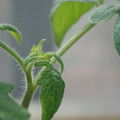 34005_20180925113330_01.JPG