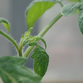 34005_20180925113334_01.JPG