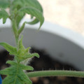 34005_20180925113537_01.JPG