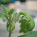 34005_20180925113605_01.JPG