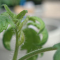 34005_20180925113610_01.JPG