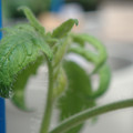 34005_20180925113613_01.JPG