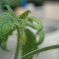 34005_20180925113614_01.JPG