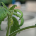 34005_20180925113615_01.JPG