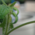 34005_20180925113617_01.JPG