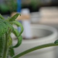 34005_20180925113618_01.JPG