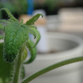 34005_20180925113620_01.JPG