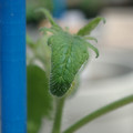 34005_20180925113622_01.JPG
