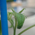 34005_20180925113625_01.JPG