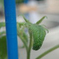 34005_20180925113626_01.JPG