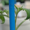 34005_20180925113637_01.JPG