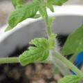 34005_20180925113718_01.JPG