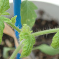 34005_20180925113724_01.JPG