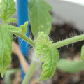 34005_20180925113725_01.JPG