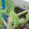 34005_20180925113726_01.JPG