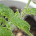 34005_20180925113734_01.JPG