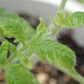 34005_20180925113735_01.JPG