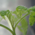 34005_20180925113815_01.JPG