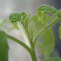 34005_20180925113816_01.JPG