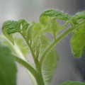 34005_20180925113817_01.JPG