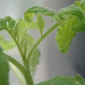 34005_20180925113819_01.JPG