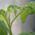 34005_20180925113820_01.JPG
