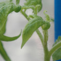 34005_20180925113838_01.JPG