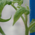34005_20180925113839_01.JPG