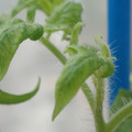 34005_20180925113840_01.JPG