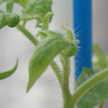 34005_20180925113840_02.JPG