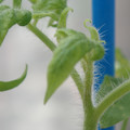 34005_20180925113841_01.JPG