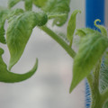 34005_20180925113843_01.JPG