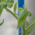 34005_20180925113845_01.JPG