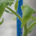 34005_20180925113847_01.JPG