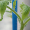 34005_20180925113849_01.JPG