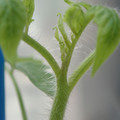 34005_20180925113854_01.JPG