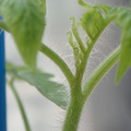 34005_20180925113855_01.JPG