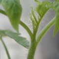 34005_20180925113856_01.JPG