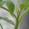 34005_20180925113858_01.JPG