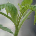 34005_20180925113900_01.JPG