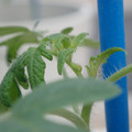 34005_20180925114027_01.JPG