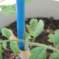 34005_20180925114212_02.JPG